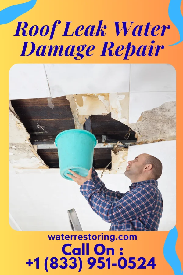 Roof Leak Water Damage Repair in Edom, TX